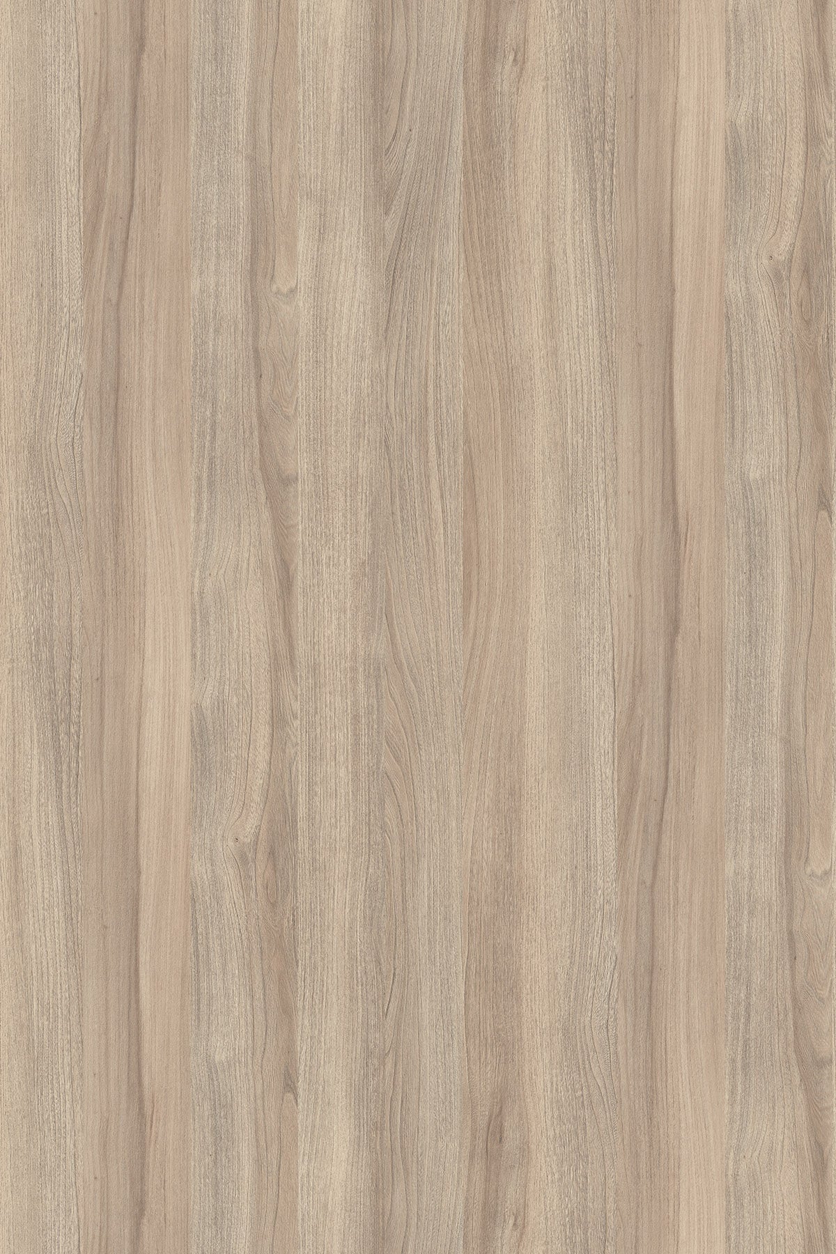 K017 Blonde Liberty Elm PW by Kronodesign - TFL Particle Board Size 3/4" x 61" x 97 (5'x8')