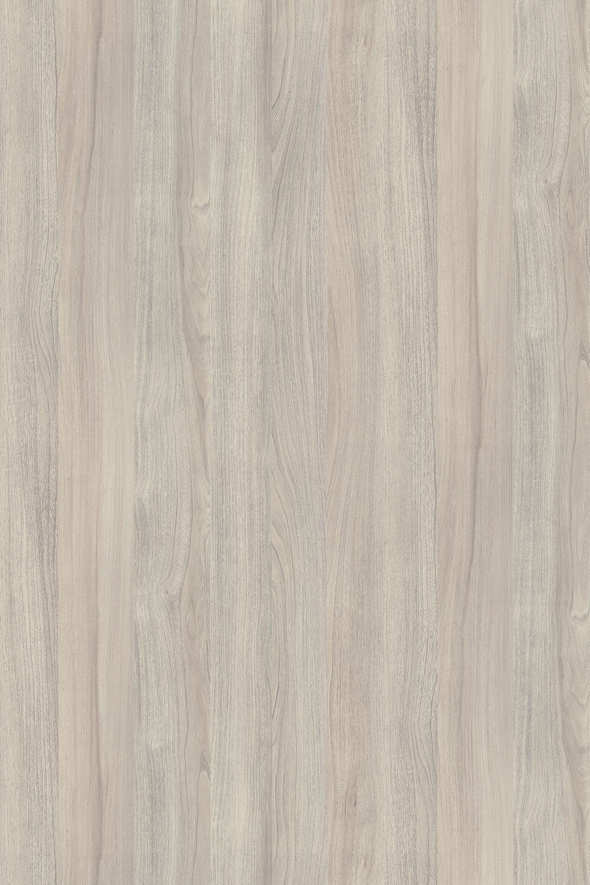 K019 Silver Liberty Elm PW by Kronodesign - TFL Particle Board Size 3/4" x 61" x 97 (5'x8')