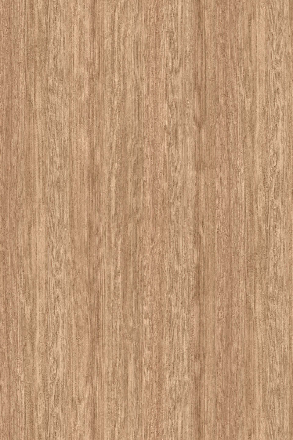 Kronospan - Slavonia Oak 5501 SN