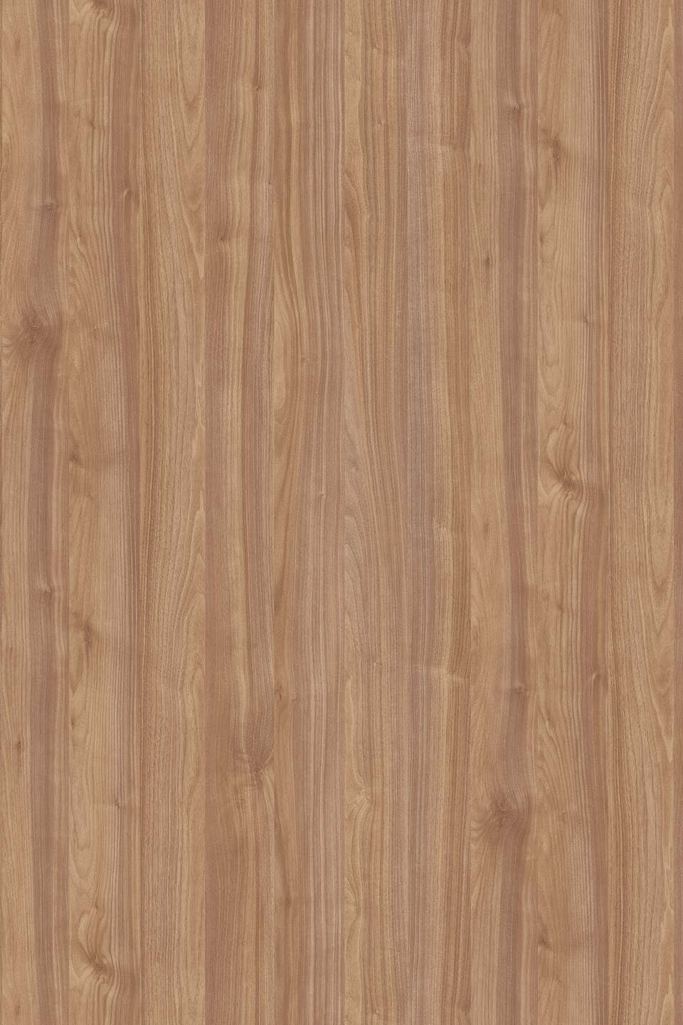 Kronospan - Light Select Walnut K008 PW