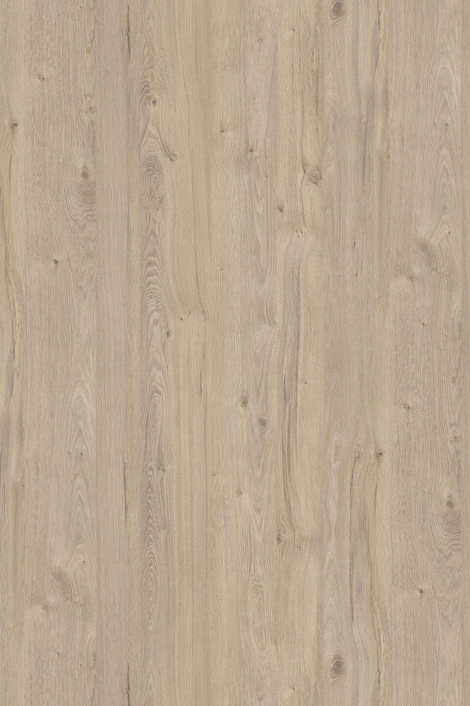 Kronospan - Satin Coastland Oak K081 PW