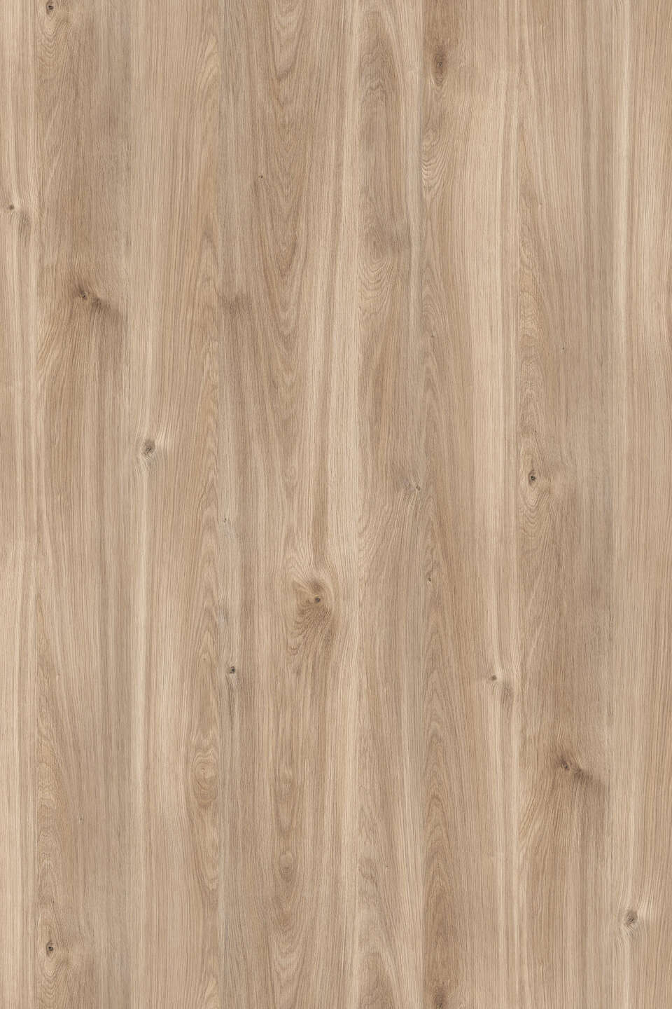 Kronospan - Honey Castello Oak K358 PW
