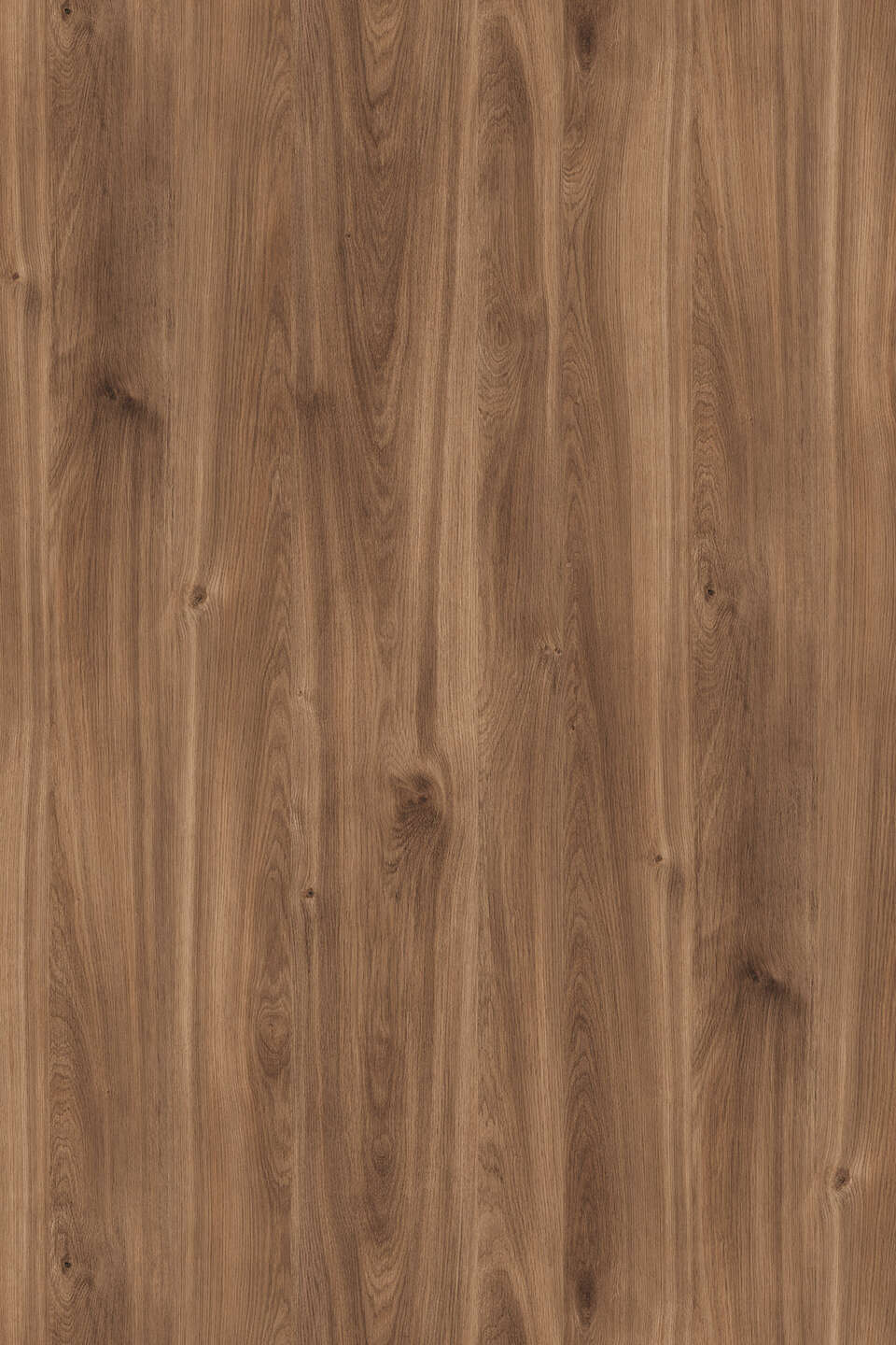 Kronospan TFL Brandy Castello Oak K359 PW